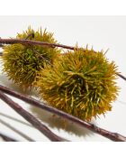 Branche artificielle Chestnut verts - 100 cm